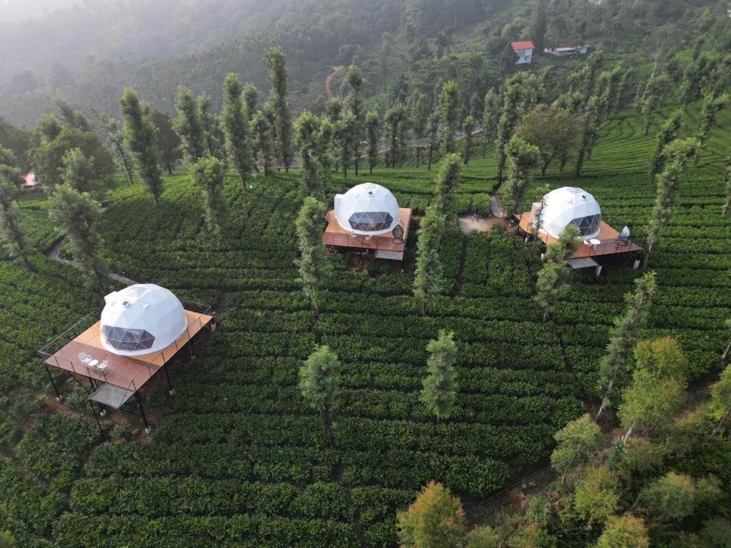 Vythiri Tea Valley I Best Hotel In Wayanad L Hotels In Vythiri Wayanad 외부 사진