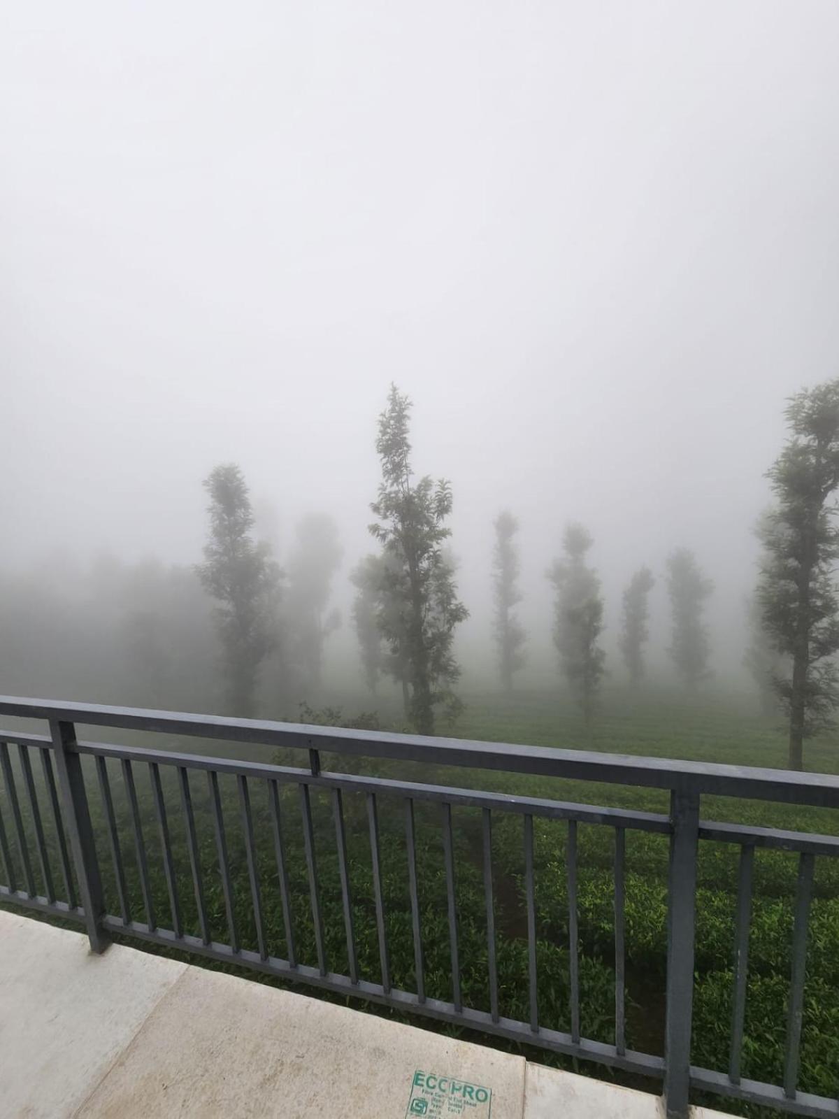Vythiri Tea Valley I Best Hotel In Wayanad L Hotels In Vythiri Wayanad 외부 사진