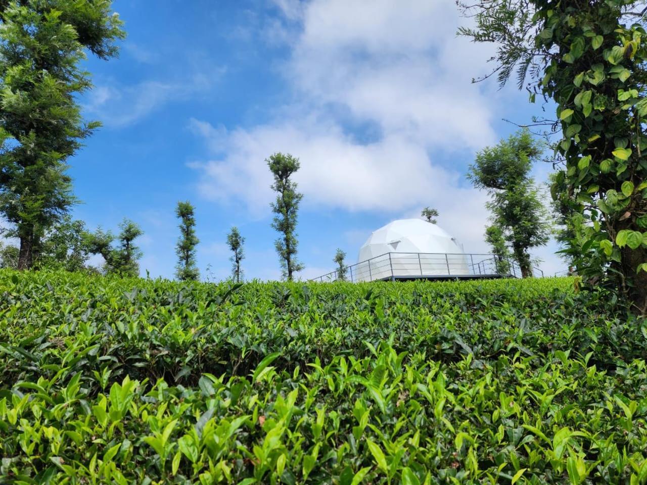 Vythiri Tea Valley I Best Hotel In Wayanad L Hotels In Vythiri Wayanad 외부 사진