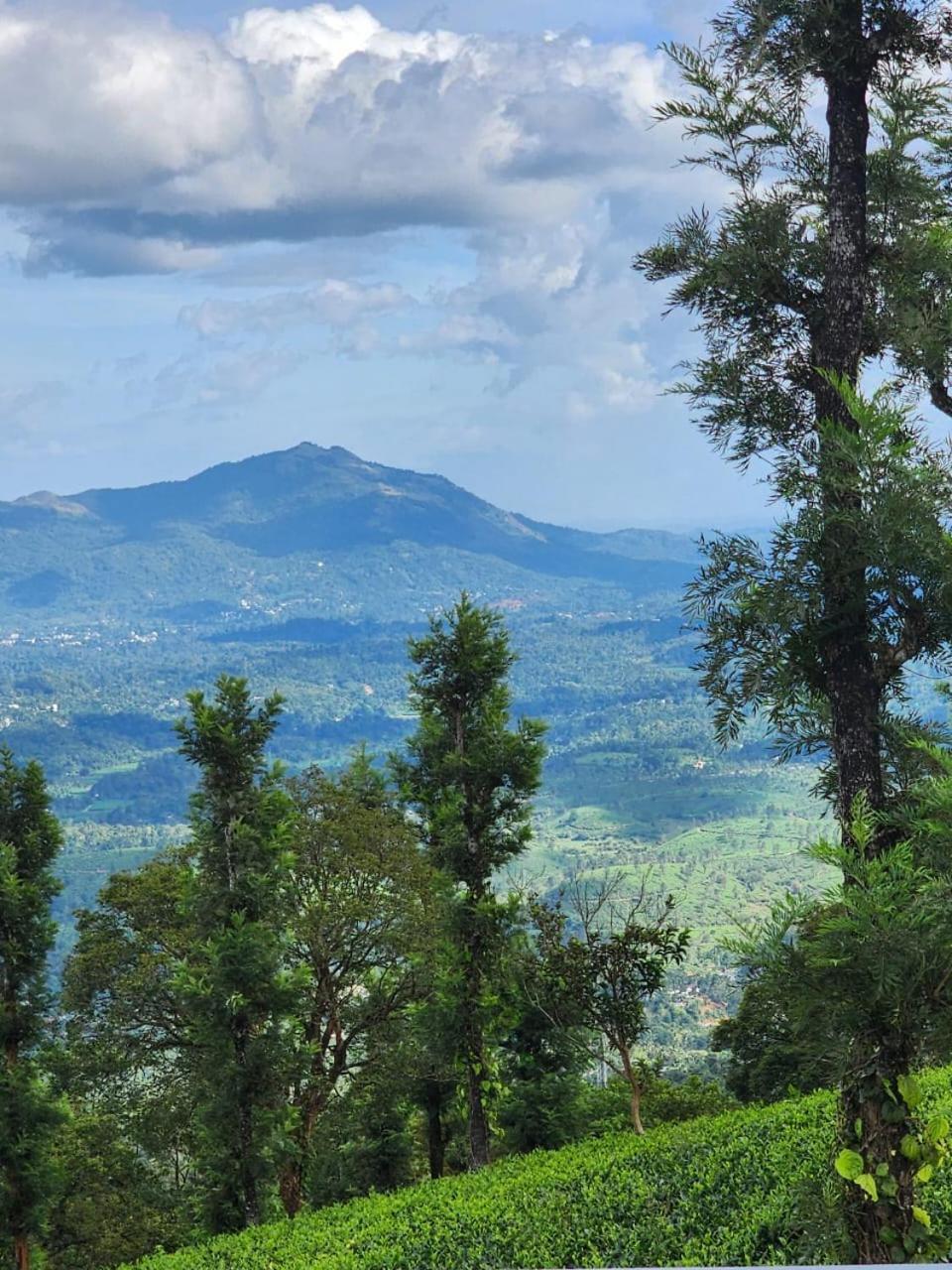 Vythiri Tea Valley I Best Hotel In Wayanad L Hotels In Vythiri Wayanad 외부 사진