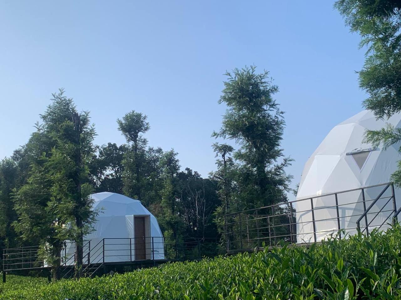 Vythiri Tea Valley I Best Hotel In Wayanad L Hotels In Vythiri Wayanad 외부 사진